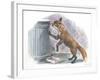 Red Fox Vulpes Vulpes Looking for Food in a Garbage Bin-null-Framed Giclee Print