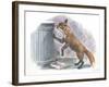 Red Fox Vulpes Vulpes Looking for Food in a Garbage Bin-null-Framed Giclee Print