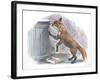 Red Fox Vulpes Vulpes Looking for Food in a Garbage Bin-null-Framed Giclee Print