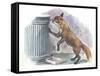 Red Fox Vulpes Vulpes Looking for Food in a Garbage Bin-null-Framed Stretched Canvas