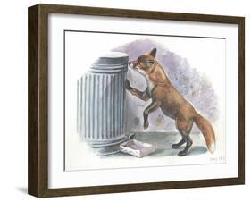 Red Fox Vulpes Vulpes Looking for Food in a Garbage Bin-null-Framed Giclee Print