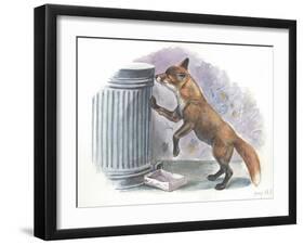 Red Fox Vulpes Vulpes Looking for Food in a Garbage Bin-null-Framed Giclee Print