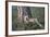 Red Fox (Vulpes Vulpes) (Vulpes Fulva)-James Hager-Framed Photographic Print