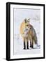 Red Fox-Ken Archer-Framed Photographic Print