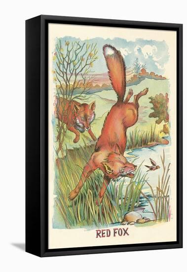 Red Fox-null-Framed Stretched Canvas