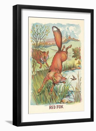 Red Fox-null-Framed Art Print