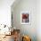 Red Fox-Corina St. Martin-Framed Giclee Print displayed on a wall