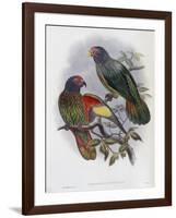 Red Fronted Lory-John Gould-Framed Giclee Print