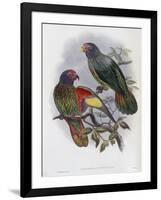 Red Fronted Lory-John Gould-Framed Giclee Print