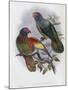 Red Fronted Lory-John Gould-Mounted Giclee Print