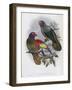 Red Fronted Lory-John Gould-Framed Giclee Print