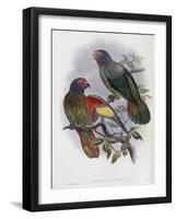 Red Fronted Lory-John Gould-Framed Giclee Print