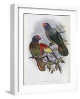 Red Fronted Lory-John Gould-Framed Giclee Print