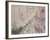 Red-Fronted Macaws, Ara Rubrogenys, in Flight Through Canyons in Torotoro National Park-Alex Saberi-Framed Photographic Print