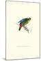 Red-Fronted Parakeet - Loriculus Philippinensis-Edward Lear-Mounted Art Print