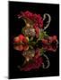 Red fruits-Aida Ianeva-Mounted Photographic Print