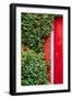 Red Garden Door-Bill Carson Photography-Framed Art Print