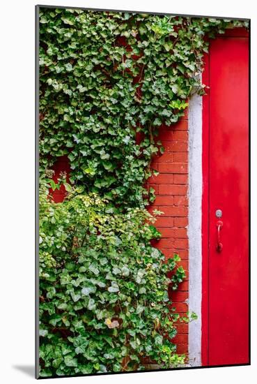 Red Garden Door-Bill Carson Photography-Mounted Art Print