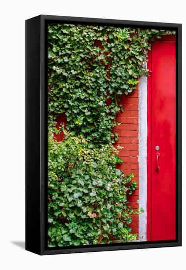 Red Garden Door-Bill Carson Photography-Framed Stretched Canvas