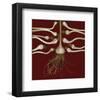 Red Garlic Bulbs-null-Framed Art Print