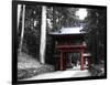 Red Gate-NaxArt-Framed Art Print