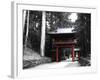 Red Gate-NaxArt-Framed Art Print