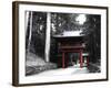 Red Gate-NaxArt-Framed Art Print