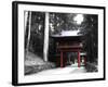 Red Gate-NaxArt-Framed Art Print