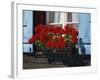 Red Geraniums and Blue Shutters, Bort, Grindelwald, Bern, Switzerland, Europe-Tomlinson Ruth-Framed Photographic Print