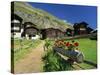 Red Geraniums Beside Path into Village, Zum See, Zermatt, Valais, Switzerland, Europe-Tomlinson Ruth-Stretched Canvas