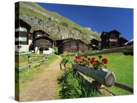 Red Geraniums Beside Path into Village, Zum See, Zermatt, Valais, Switzerland, Europe-Tomlinson Ruth-Stretched Canvas