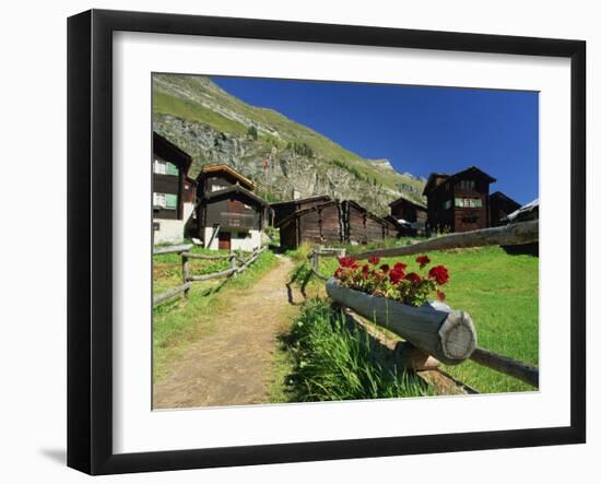 Red Geraniums Beside Path into Village, Zum See, Zermatt, Valais, Switzerland, Europe-Tomlinson Ruth-Framed Photographic Print