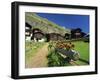 Red Geraniums Beside Path into Village, Zum See, Zermatt, Valais, Switzerland, Europe-Tomlinson Ruth-Framed Photographic Print