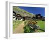 Red Geraniums Beside Path into Village, Zum See, Zermatt, Valais, Switzerland, Europe-Tomlinson Ruth-Framed Photographic Print