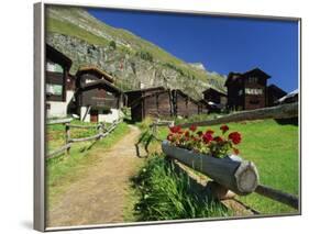 Red Geraniums Beside Path into Village, Zum See, Zermatt, Valais, Switzerland, Europe-Tomlinson Ruth-Framed Photographic Print