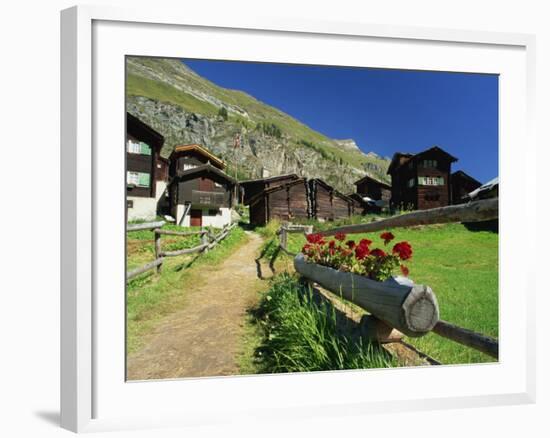 Red Geraniums Beside Path into Village, Zum See, Zermatt, Valais, Switzerland, Europe-Tomlinson Ruth-Framed Photographic Print