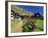 Red Geraniums Beside Path into Village, Zum See, Zermatt, Valais, Switzerland, Europe-Tomlinson Ruth-Framed Photographic Print