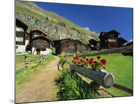 Red Geraniums Beside Path into Village, Zum See, Zermatt, Valais, Switzerland, Europe-Tomlinson Ruth-Mounted Photographic Print