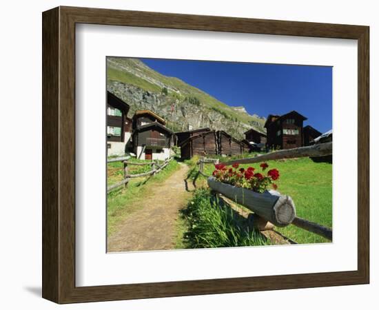 Red Geraniums Beside Path into Village, Zum See, Zermatt, Valais, Switzerland, Europe-Tomlinson Ruth-Framed Photographic Print