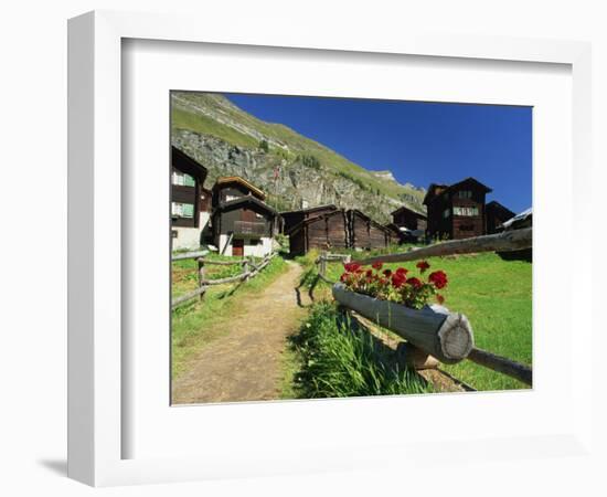 Red Geraniums Beside Path into Village, Zum See, Zermatt, Valais, Switzerland, Europe-Tomlinson Ruth-Framed Photographic Print