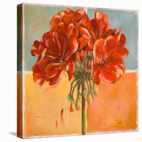 Red Geraniums I-Patricia Pinto-Stretched Canvas