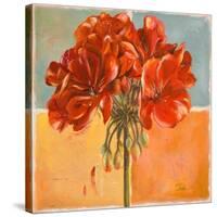 Red Geraniums I-Patricia Pinto-Stretched Canvas