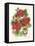 Red Geraniums-Kathleen Parr McKenna-Framed Stretched Canvas