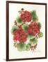 Red Geraniums-Kathleen Parr McKenna-Framed Art Print