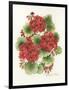 Red Geraniums-Kathleen Parr McKenna-Framed Art Print