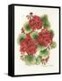 Red Geraniums-Kathleen Parr McKenna-Framed Stretched Canvas