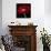 Red Gerbera on Black 01-Tom Quartermaine-Giclee Print displayed on a wall