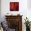 Red Gerbera on Red 06-Tom Quartermaine-Giclee Print displayed on a wall