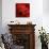 Red Gerbera on Red 08-Tom Quartermaine-Giclee Print displayed on a wall