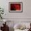 Red Gerbera on Red 09-Tom Quartermaine-Framed Giclee Print displayed on a wall